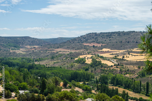 Field with trees in summer in Brihuega  Guadalajara province  Castilla La Mancha  Spain