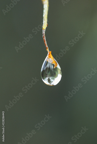 Water drop falling