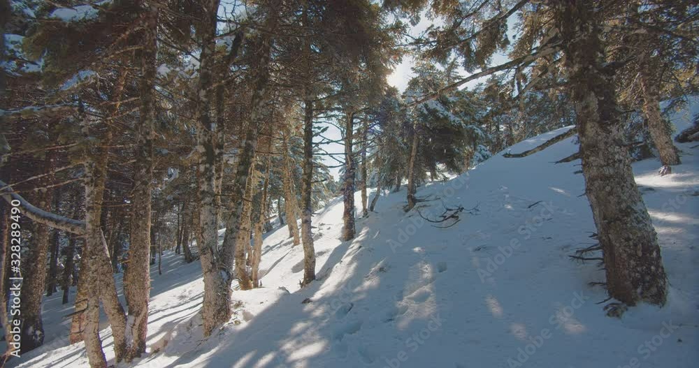 Snow paved mountain forest path during the last days of winter and on the transition towards spring.Hiking or skiing landscape.Original Pocketn 4K 10bit 4:2:2 clip. Snow paved mountain forest path during the last days of winter and on the transition towards spring.Hiking or skiing landscape.Original Pocketn 4K 10bit 4:2:2 clip.