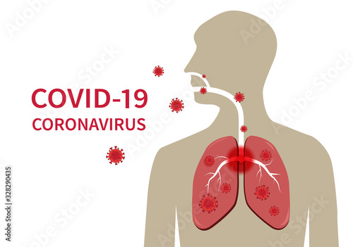 Coronavirus COVID-19 to spread into the cells of the airways and lungs. Vector illustration