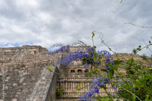 The Great Palace in Sayil Maya archaeological site. Yucatan. Mexico. photo