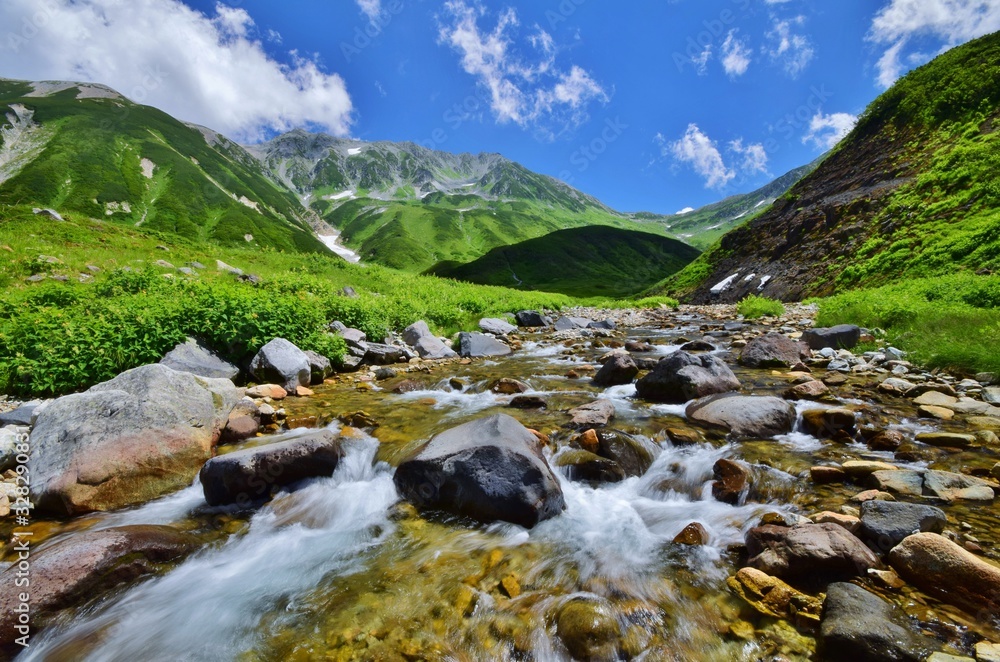 夏山 北アルプス 立山連峰 夏山 北アルプス 立山連峰
