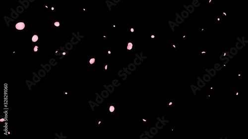 桜ループあり（普通）_4K_アルファ付き