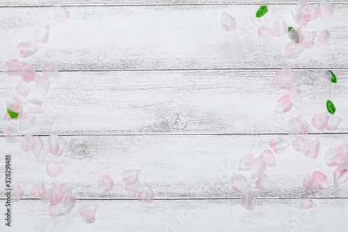 桜の花びらと白板