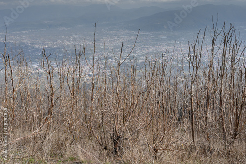 Naples  Italy - March 2020 A team of people trekking on the mountain close to Vesuvius Volcano to discover the beauty of nature and sense of a team.