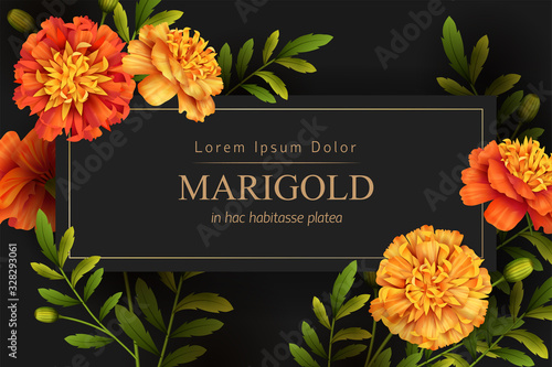 Floral Holiday Background