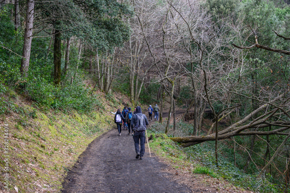 Mount Somma, Naples / Italy - March 2020: Trekking on Mount Somma, visiting the burnt area and the quary. Mount Somma, Naples / Italy - March 2020: Trekking on Mount Somma, visiting the burnt area and the quary.