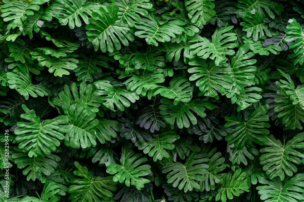 Beautiful vertical garden on the wall of the building for interior and exterior design and background Beautiful vertical garden on the wall of the building for interior and exterior design and background