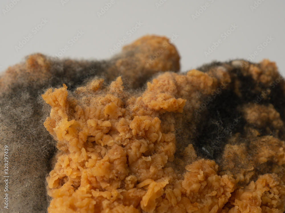 A piece of fired chicken is moldy and rotten with badly smell. That may