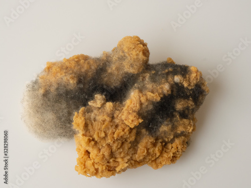 A piece of fired chicken is moldy and rotten with badly smell. That may cause food poisoning, diarrhea and illness.