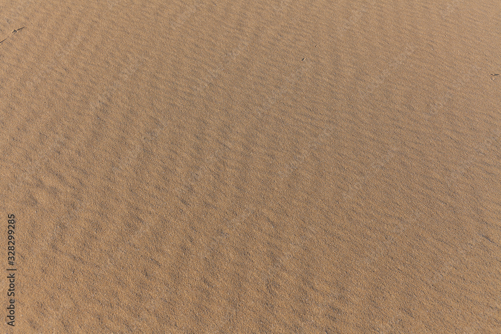 Sand Texture. Background from fine sand. Sand background. selective focus