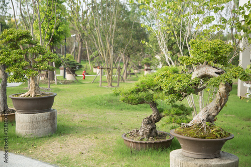 Potted plants in the potted garden of Nantong, China