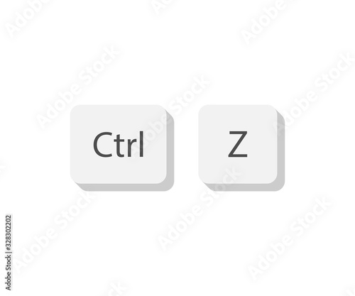 Ctrl z keyboard keys. Button on flat style. Isolated vector