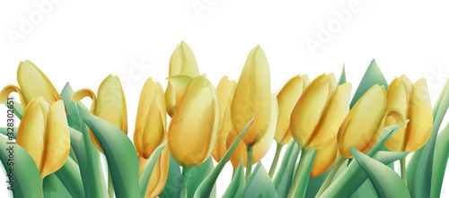 Yellow watercolor tulip flowers with green leaves. Banner
