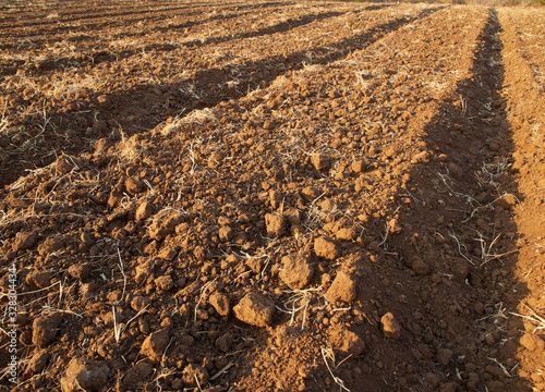 Принти на полотні Agricultural soil preparation for cultivation.
