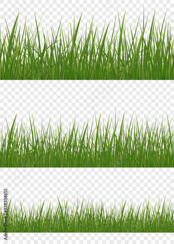 Realistic green grass