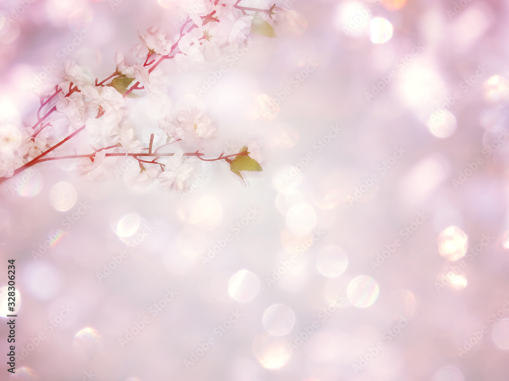 spring background of flowering white cherry flowers tree and leaves spring background of flowering white cherry flowers tree and leaves