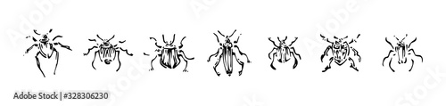 Hand drawn beetles set. Sketch style vector illustration. Black isolated bugs insect, design elements on white background