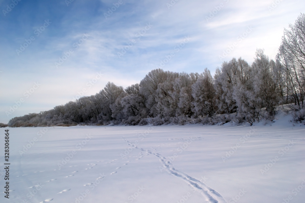 Winter forest. Forest in winter. Snow. The snow on the trees. Frozen river. Footprints in the snow. Winter forest. Forest in winter. Snow. The snow on the trees. Frozen river. Footprints in the snow.