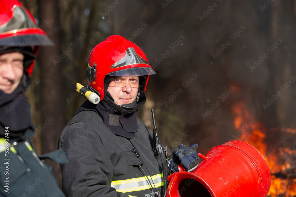 Fototapeta premium Firefighters extinguish a fire. Male firefighters with a hose on a background of a burning forest.