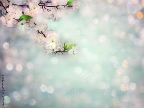 spring background of flowering white cherry flowers tree and leaves