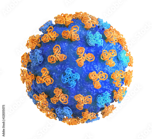 Influenza virus on a white background. 3d illustration photo