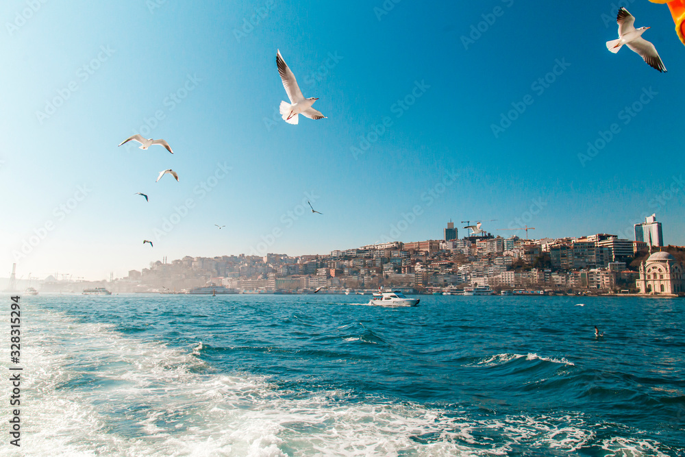 Seagulls are escorting a ferryboat during sunset at Bosporus Seagulls are escorting a ferryboat during sunset at Bosporus