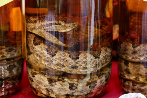 Photos ハブ酒