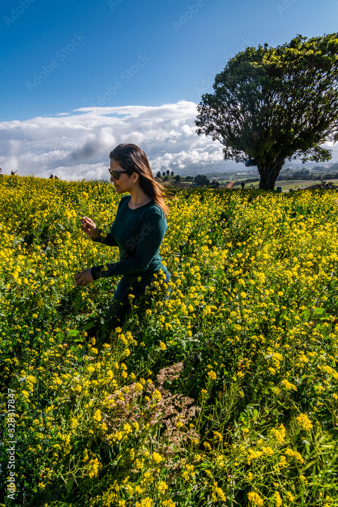 woman with sunglasses in a yellow flowers field woman with sunglasses in a yellow flowers field