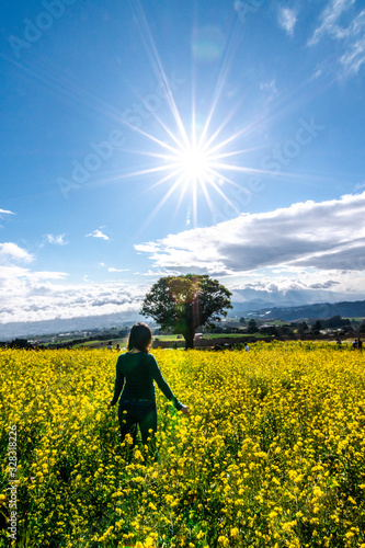 woman with sunglasses in a yellow flowers field © Andres