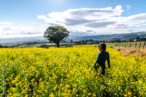 woman with sunglasses in a yellow flowers field © Andres