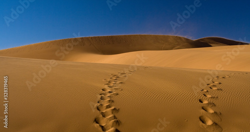 Dune Steps in Namibian dessert
