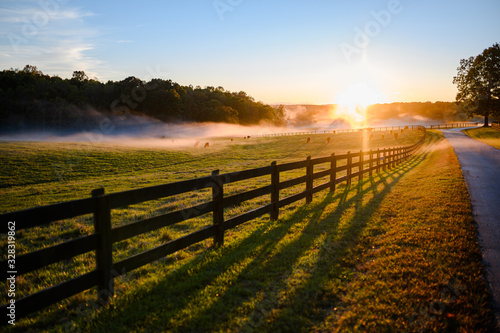 Beautiful Color Rural Landscape Nature Photo with Fence and Pathway Road Along Field Pasture Filled with Cows and Foggy Clouds at Sunset