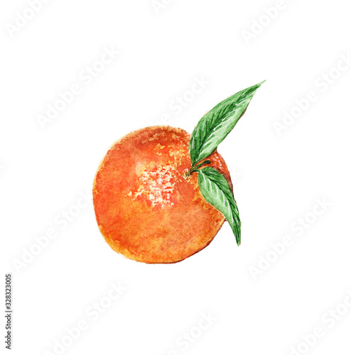 watercolor orange drawing isolated on white background