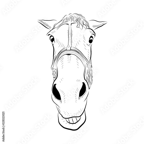 The horse head. Sketch art. Surprised emotion.