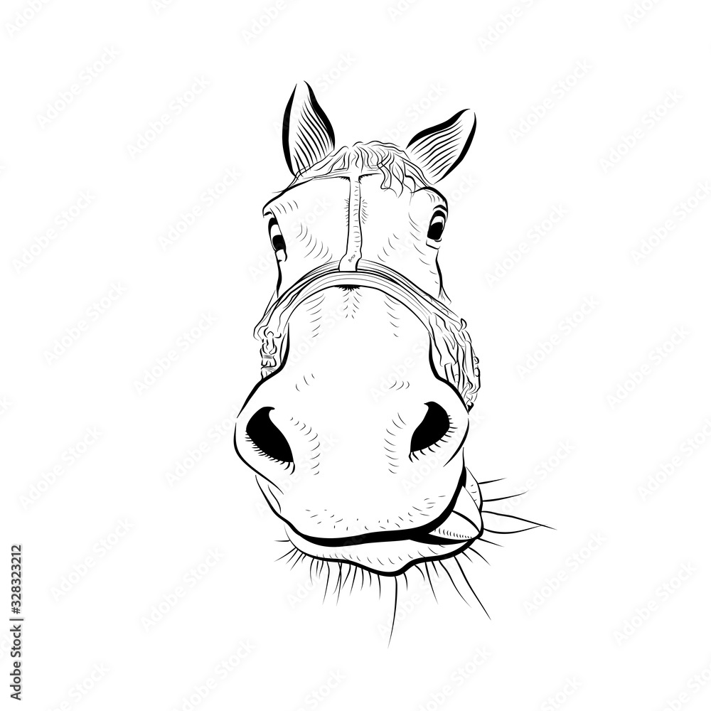 The horse head. Sketch art. Playful with tongue. The horse head. Sketch art. Playful with tongue.
