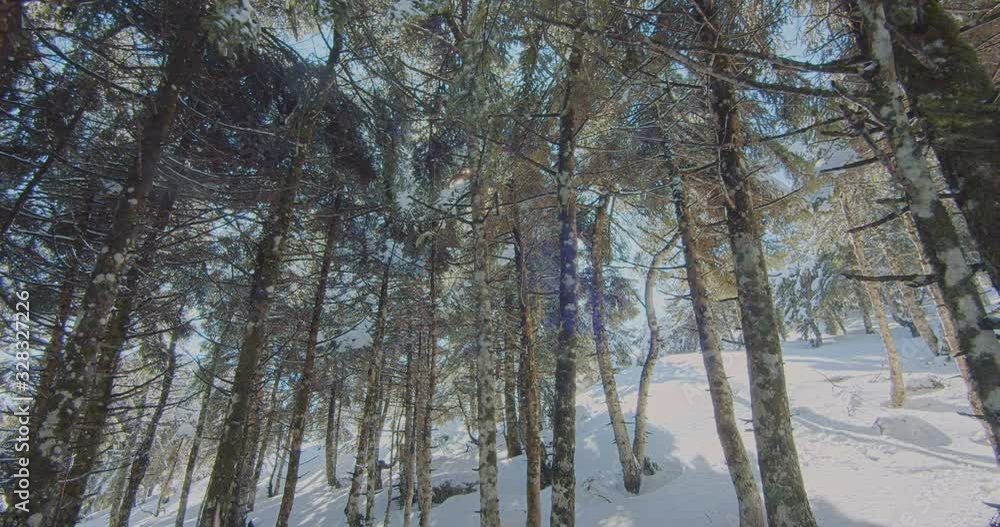 Snow paved mountain forest path during the last days of winter and on the transition towards spring.Hiking or skiing landscape.Original Pocketn 4K 10bit 4:2:2 clip. Snow paved mountain forest path during the last days of winter and on the transition towards spring.Hiking or skiing landscape.Original Pocketn 4K 10bit 4:2:2 clip.