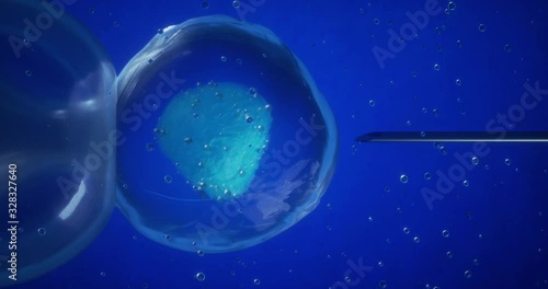 Wallpaper Mural Macro of artificial insemination process is analyzed with futuristic microscope in modern scientific laboratory. Concept of reproduction, life, birth, medicine, science, research, biotechnology Torontodigital.ca