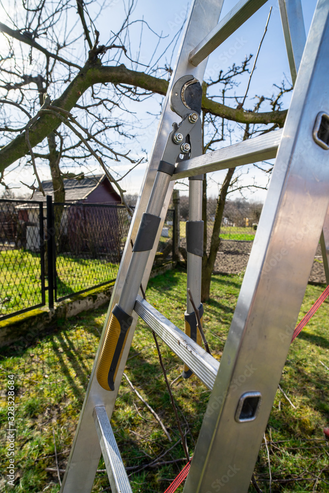 Hanging pruning shears. Work in the home garden. Pruning branches. Hanging pruning shears. Work in the home garden. Pruning branches.