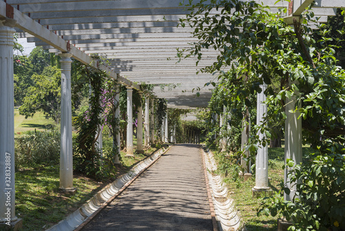 Fotografia Kandy Peradeniya Botanical Gardens pergola wooden walkway with view into the di