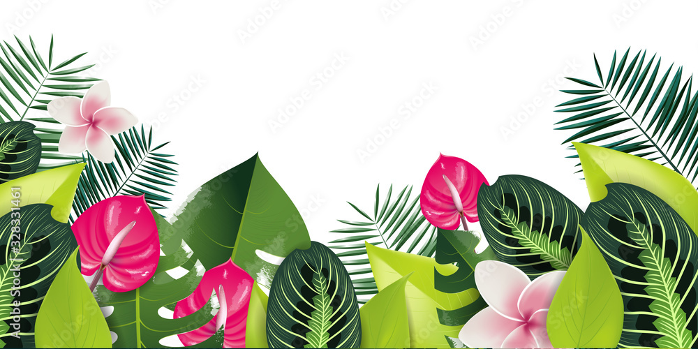 tropical illustration background tropical illustration background