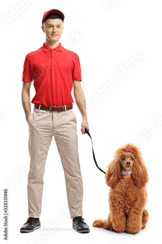 Billede på lærred Male pet sitter with a red poodle
