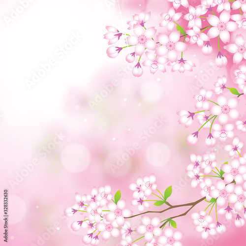 桜 さくら 背景 素材