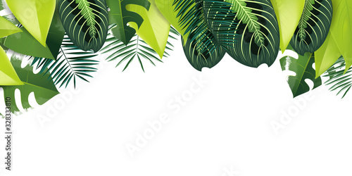 tropical illustration background