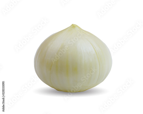 Elephant Garlic isolated on white background. This has clipping path.