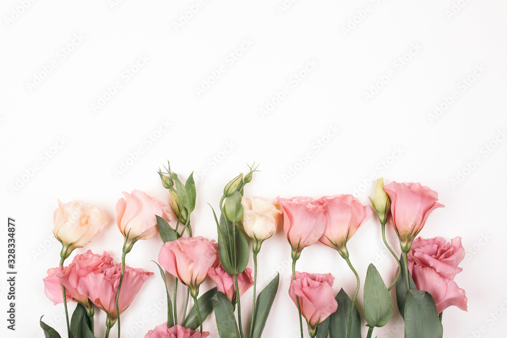 beauty pink eustoma flower isolated on white background beauty pink eustoma flower isolated on white background