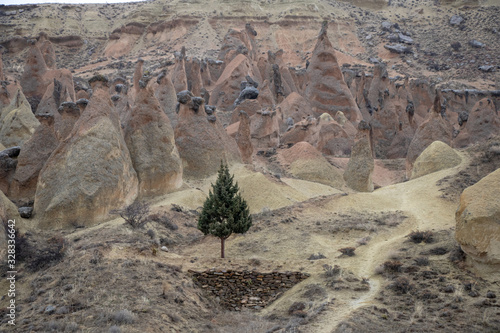 Cappadocia valley 

