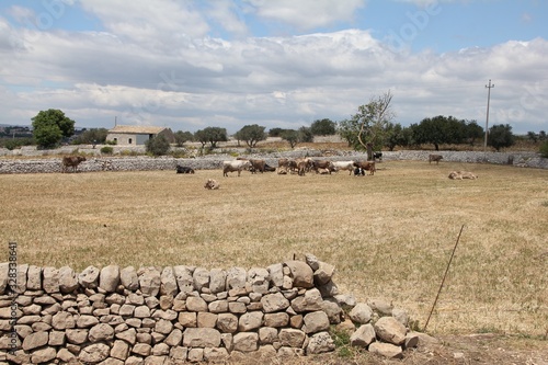 Campagna Sicilia 