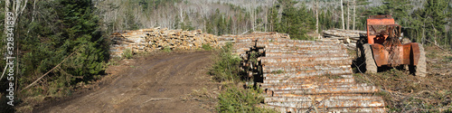 Logging Skidder parked in forest clearing. Wide format image.