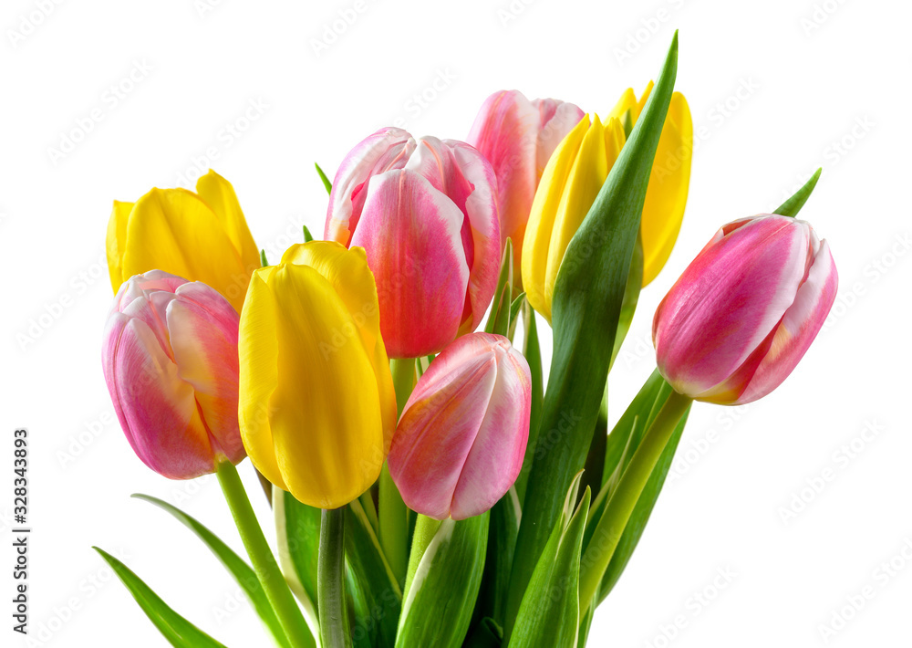 Bouquet of pink and yellow tulip flowers isolated on white Bouquet of pink and yellow tulip flowers isolated on white